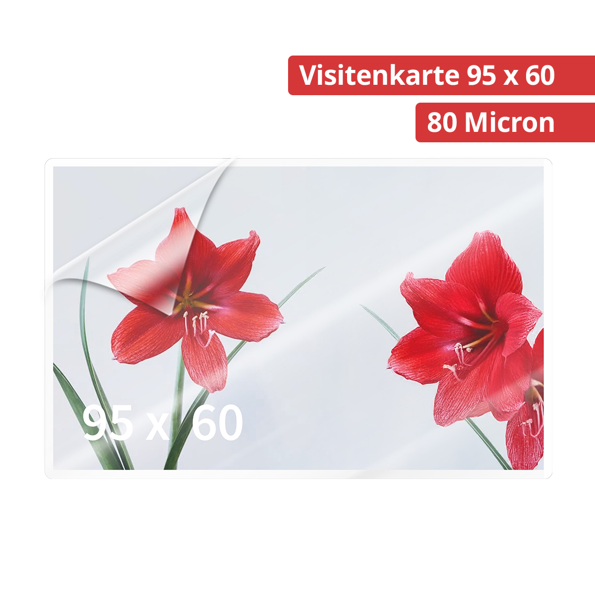 Olympia 9169 Laminierfolien Visitenkarten, 80µ, 100er Pack, hochtransparent, hohe Qualität