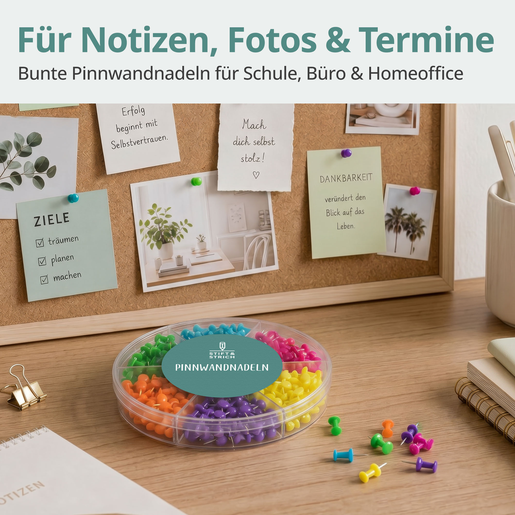 Pinnwandnadeln 240 Stück in 6 Farben 
