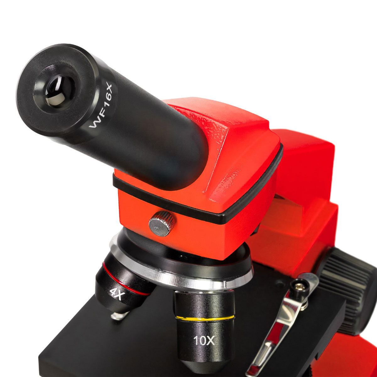 Levenhuk Rainbow 2L PLUS Mikroskop Orange, 64 -640 fach, Ober- und Unterlicht, Experimentierset inkl., Monokularkopf 360° drehbar