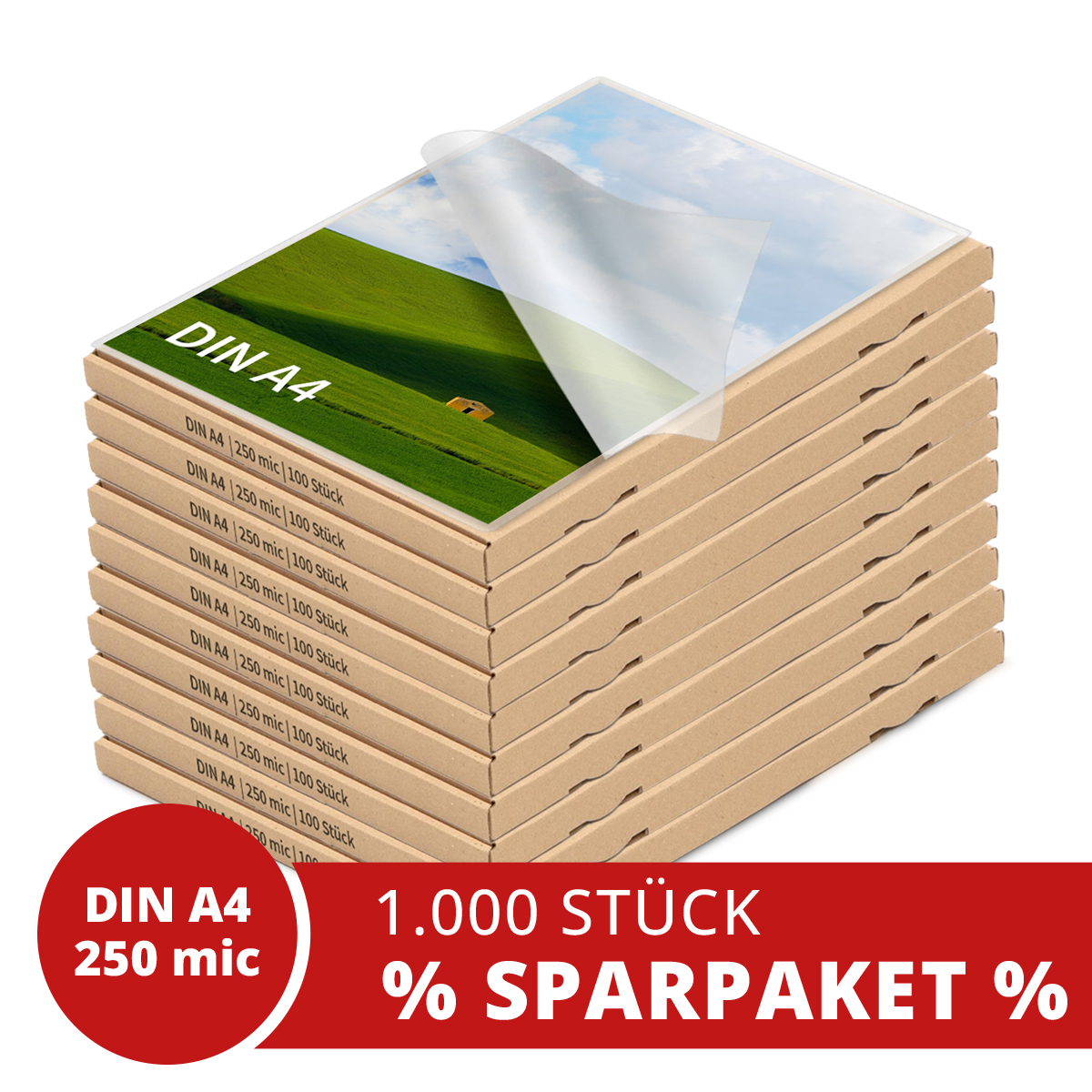 Laminiertaschen A4, 250 mic Spar-Pack aus 10 Kartons mit je 100 Stück