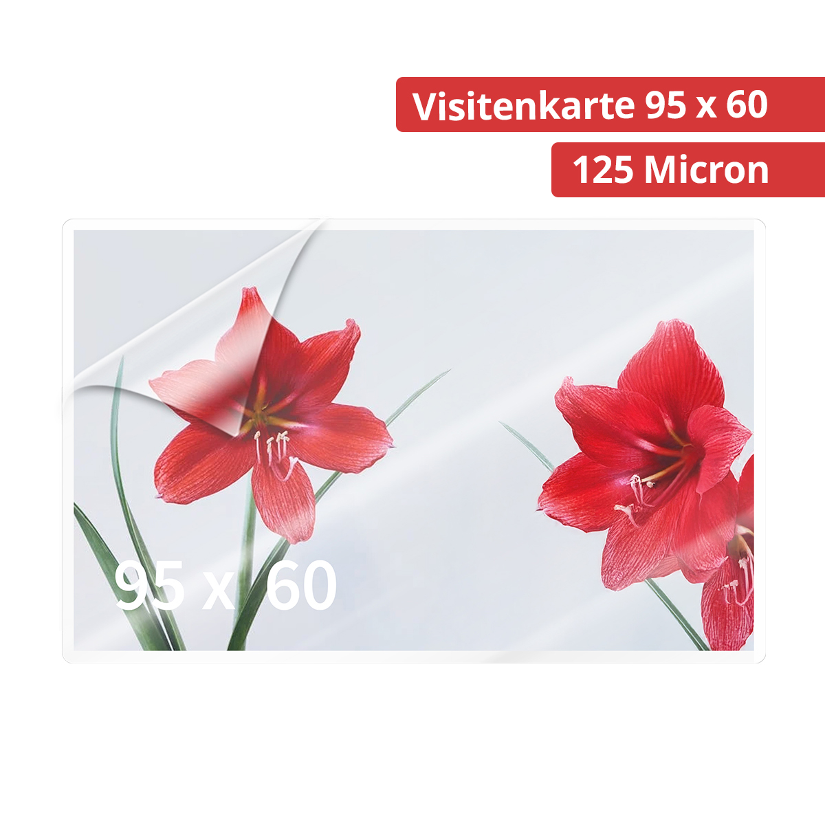 Olympia 9179 Laminierfolien Visitenkarten, 125µ, 100er Pack, hochtransparent, hohe Qualität