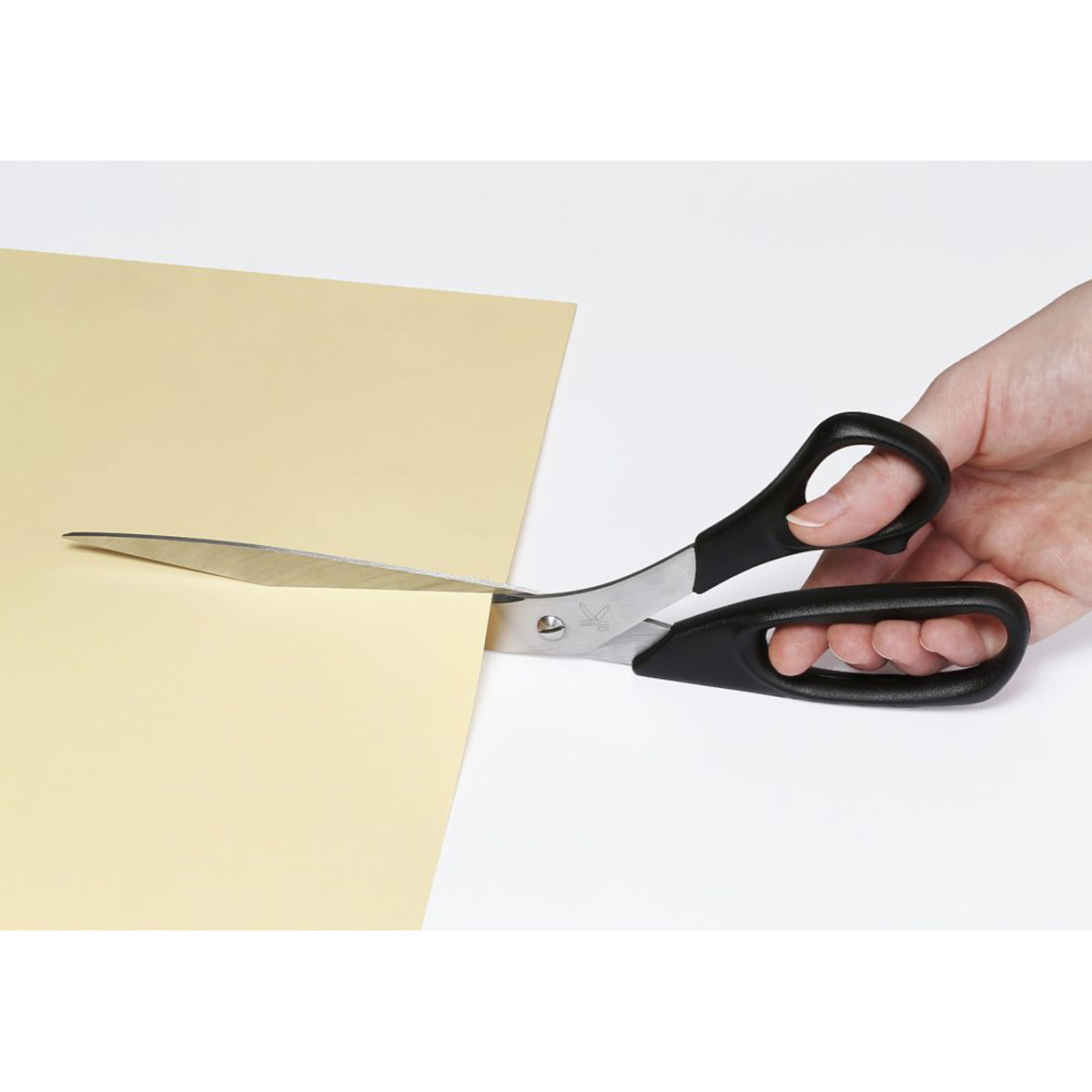 Dahle Professional Papierschere 10 Zoll (26cm) rostfrei, Rechtshand 