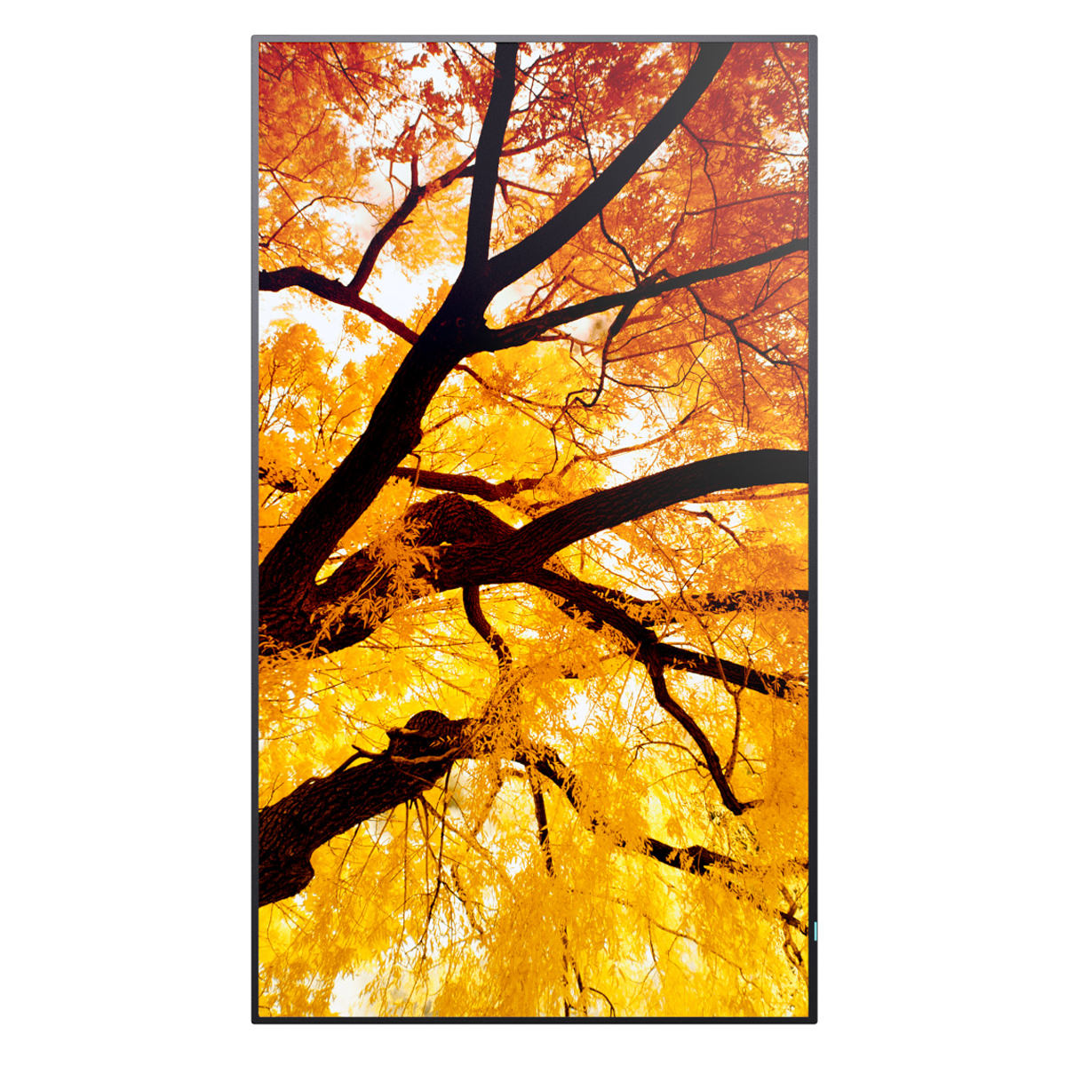 Sharp MultiSync M982 98" M-Series Large Format Display 