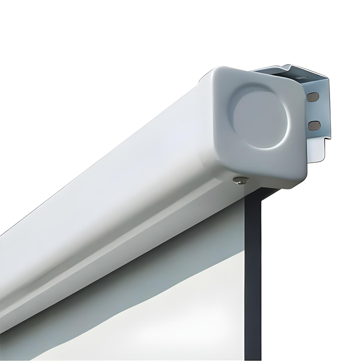 Optoma DS-3100PMG+Leinwand 100'' (254 cm)